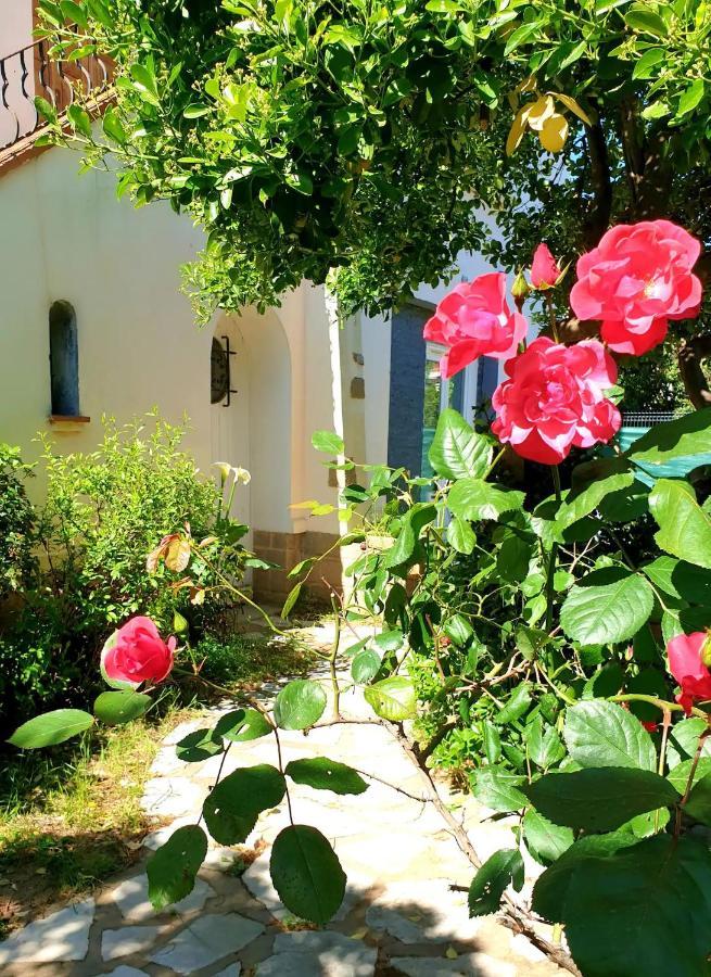 Studio Au Calme Tout Confort Proche Des Plages - Jardin Wifi Parking Fréjus 外观 照片